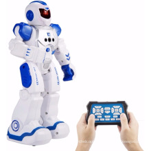 DWI Dowellin Sensor Control Intelligent Combat Dancing Gesture RC Robot Toys